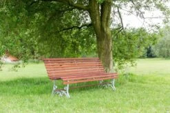 MaximaVida Tuinbank Budapest Oil 170 Cm - Uit Exclusief Mahoniehout -Tuinmeubilair 1200x800 64